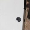 VW Transporter T5 bulkhead - Image 3